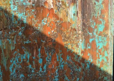getrocknet und bei Tageslicht