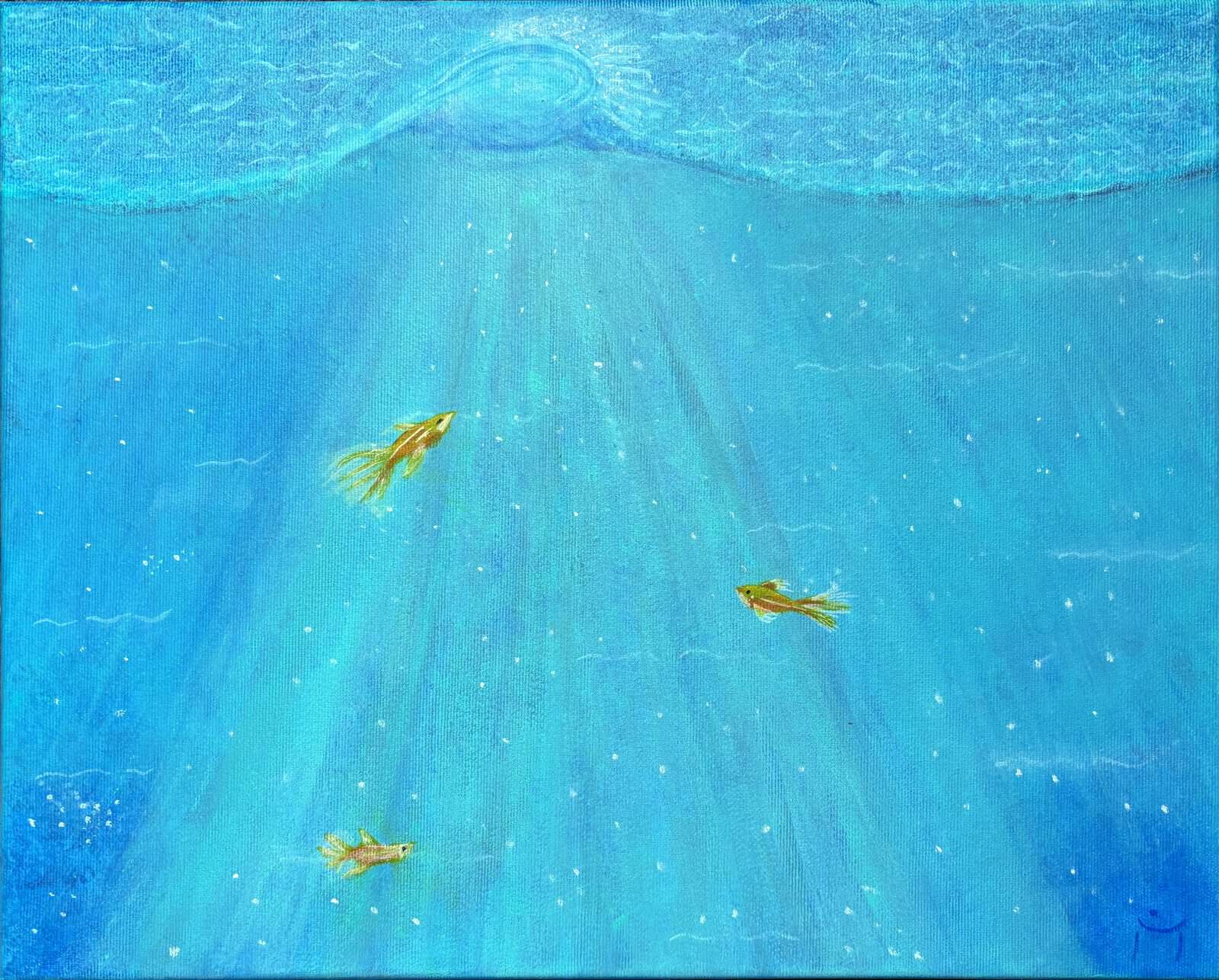 Abstraktes Unterwasserbild Unter der Oberfläche – Titelbild bei Tageslicht aufgenommen Titelbild: Abstraktes Unterwasserbild mit Welle, Lichtstrahlen und drei goldenen Fischen in Blau- und Türkistönen